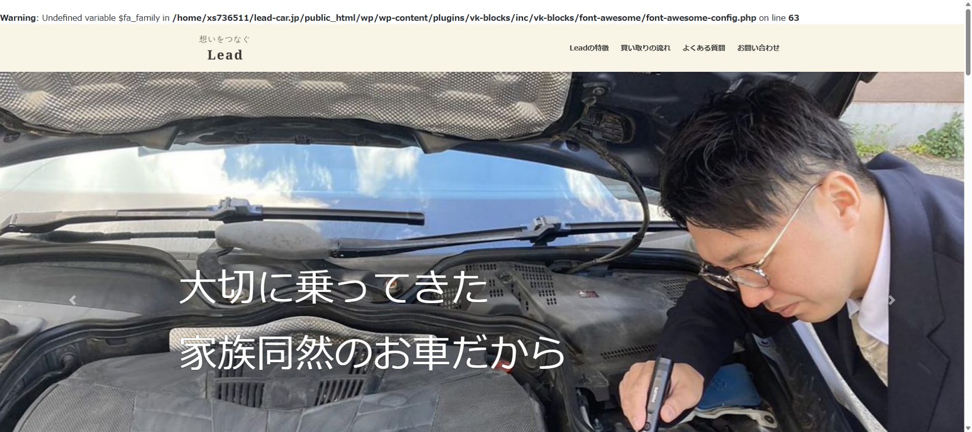 Leadの公式サイトPC画面
